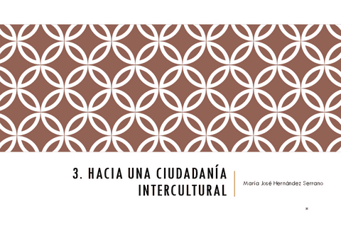 3.1.-Definicion-cultura-raza-etnia.pdf