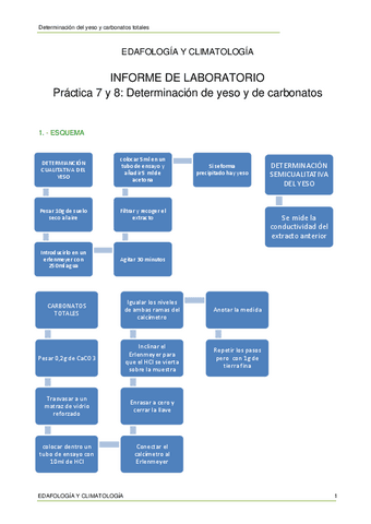 Informe-7-y-8-Yeso-y-carbonatos.pdf