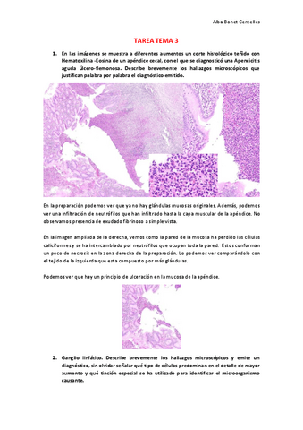 TAREA-TEMA-3.pdf