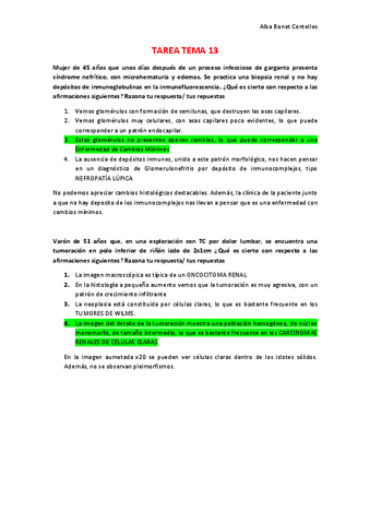 TAREA-TEMA-13.pdf