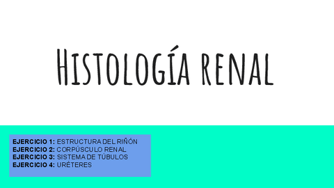 Histologia-renal.pdf