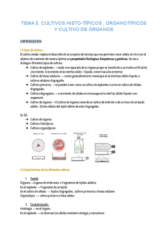 TEMA-5-CULTIVOS-HISTOTIPICOS-ORGANOTIPICOS-Y-DE-ORGANOS-..pdf