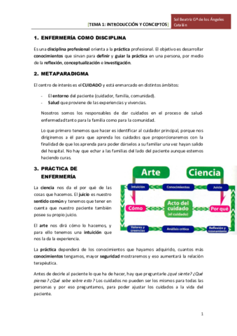TEMA 1 INTRO Y CONCEPTOS.pdf
