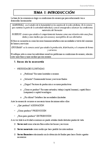 Tema-1.-Introduccion.docx.pdf