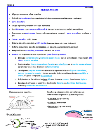 ZOOLOGIA-resumenes-grupos.pdf