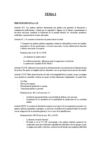 Marco-Normativo-PRL.-RESUMEN-TEMARIO.pdf