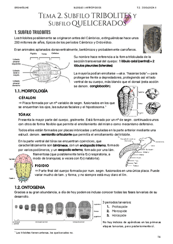 Tema-2-Trilobites-y-Quelicerados.pdf