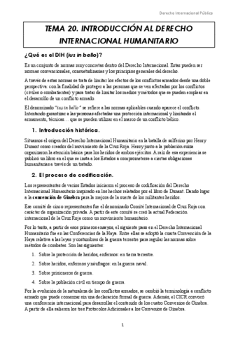 Tema-20.-DIH.docx.pdf