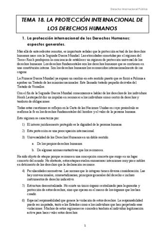 Tema-18.-La-proteccion-internacional-de-los-Derechos-Humanos.docx.pdf