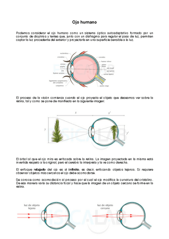 Ojo-humano-y-sus-defectos.pdf