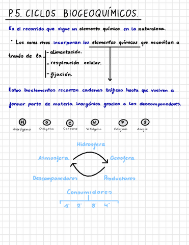 Ciclos-Biogeoquimicos..pdf