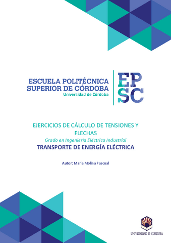 EJERCICIOS-TENDIDO.pdf