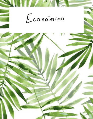 Derecho-Economico.pdf