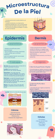 Infografias-sem01.pdf