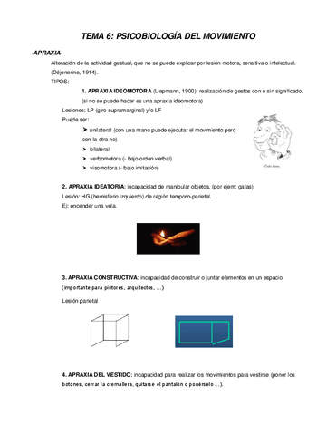 TEMA-6.-PSICOBIOLOGIA-DEL-MOVIMIENTO.pdf