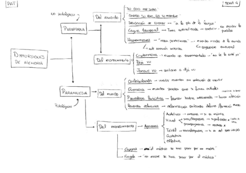 Esquema-distorsiones-de-memoria-Tema-4.pdf