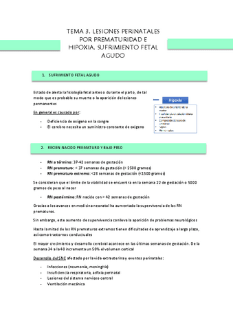 TEMA-3-PAT-DESARROLLO.pdf