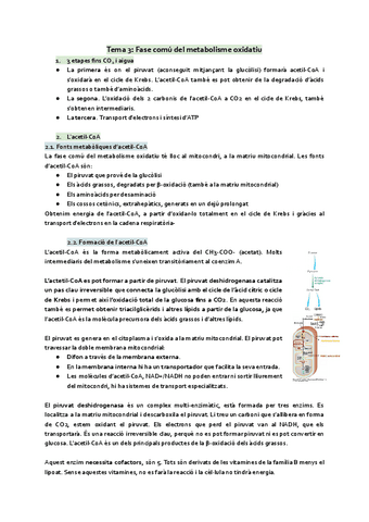 Tema-3-El-metabolisme-comu.pdf
