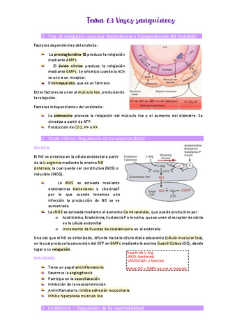Tema-6.pdf