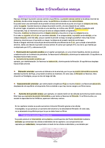 Tema-11-Circulacion-venosa.pdf