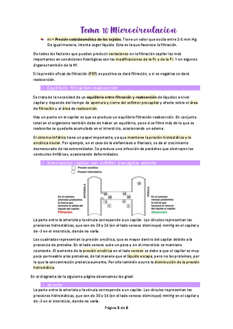 Tema-10-Microcirculacion.pdf