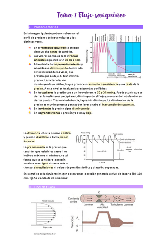 Tema-7-Flujo-sanguineo.pdf