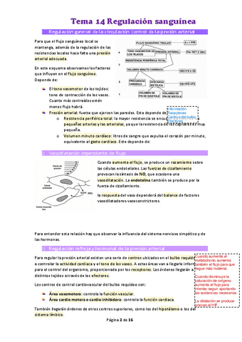 Tema-14-Regulacion-sanguinea.pdf