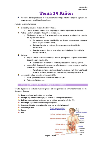 Tema-19-Rinon.pdf