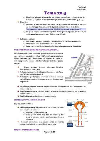 Tema-20.pdf