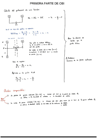 1parte-OBI.pdf