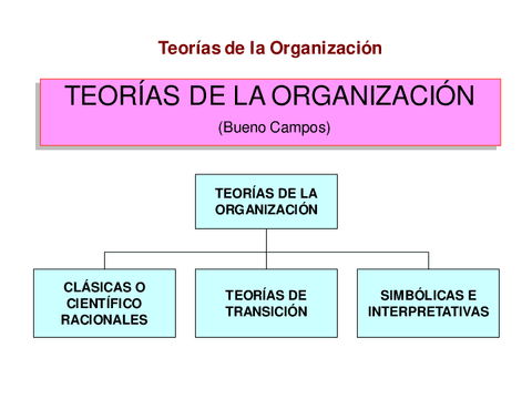 Teorias-de-la-Organizacion.pdf