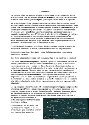 Tema-8-Botanica.pdf