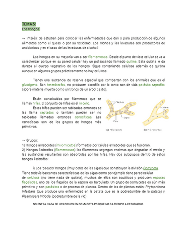 Botanica-temas-5,6,7y8-2023.pdf