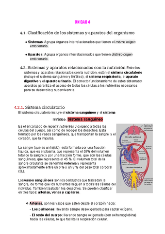 Sistemas-y-aparatos.pdf