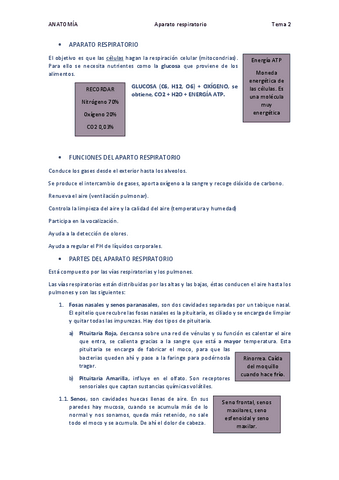 Aparato-respiratorio.pdf