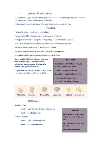 Leucocitos-tipos-y-funciones.pdf
