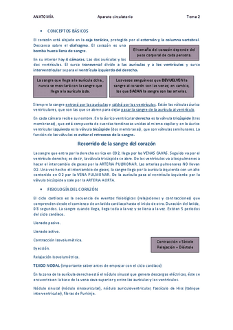 Aparato-circulatorio.pdf