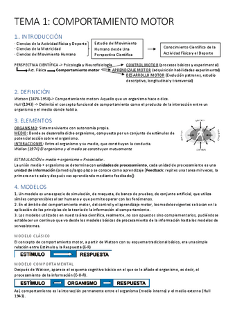 Tema-1-ACD.pdf