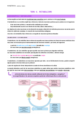 TEMA-4.-Metabolismo.pdf