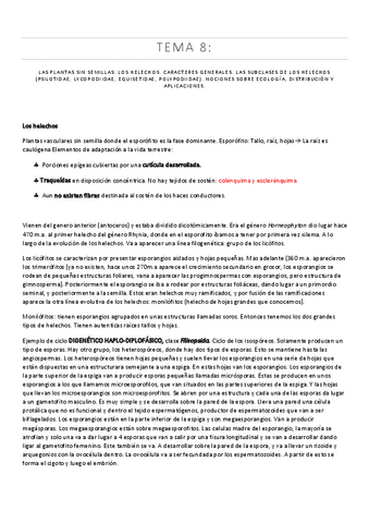 TEMA-8.pdf