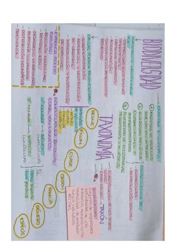 esquema-biodiversidad-taxonomia.pdf