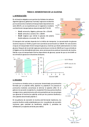 Tema 9.-Homeostasis glucosa.pdf