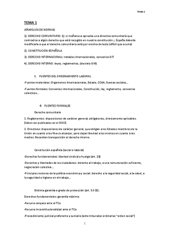 RESUMEN TEMA-1 DERECHO.pdf