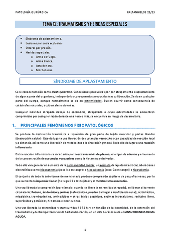12.-Traumatismos-y-heridas-especiales.pdf