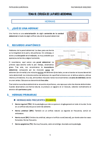 18.-Cirugia-de-la-pared-abdominal.pdf