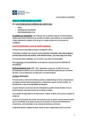 TEMA-28-TEORIA-GENERAL-DE-LA-PENA.pdf
