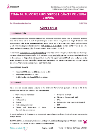 Tema-16.pdf
