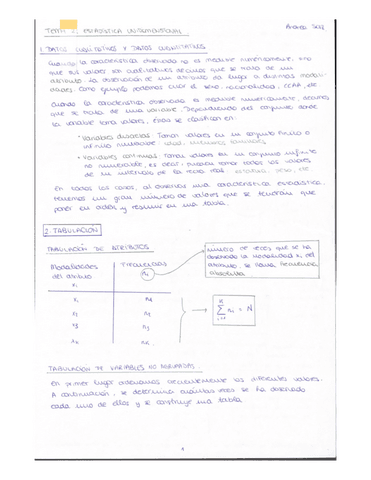 ESTADISTICA-EMPRESARIAL-I-Tema-2.pdf
