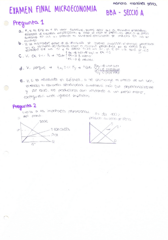 PRACTICA-FINAL.pdf