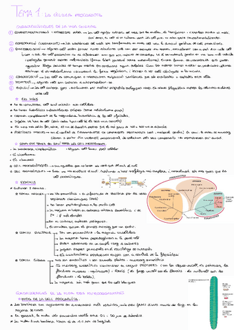 Tema-1-Microbiologia.pdf